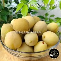 ราคา กินกันลำๆ ท้อดอง ท้อดองสามรส 500 g เต็มลูก ไม่มีน้ำดอง สินค้าขึ้นชื่อ ของฝากจากเชียงใหม่ ผลไม้แช่อิ่ม ผลไม้ดอง ของดอง (3717536874)