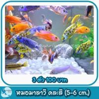 ราคา ปั้มลมสำหรับคนเลี้ยงปลา เพิ่มความสวยงามให้ตู้ปลา (21386941055)