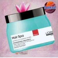 ราคา Loreal Hair Spa Repairing Treatment 490 g ทรีทเม้นท์บำรุงผมสำหรับผมแห้งเสีย (20782920954)