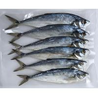 ราคา ปลาสีเสียด ปลาเค็ม ปลาสีเสียดเล็ก ไซต์ขนาด 15 20 ตัว1 กิโล ปลาสีเสียดตากแห้ง อาหารทะเลแห้งตากแห้ง (9224333930)