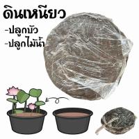ราคา ดินปลูกบัว ดินเหนียว ดินปลูกไม้น้ำ ขนาดต่อก่อน 1 5 2 กิโลกรัม (21415793219)