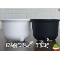 ราคา กระถางขาสิงห์ กระถางแคคตัส กระถางกระบองเพชร กระถางไม้อวบน้ำ ตะบองเพชร กระบองเพชร cacti cactus succulent (8866012751)