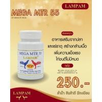 ราคา mtr55ลำปำไก่ชน ตัวแทนจำหน่ายลำปำฟาร์ม รับสินค้าจากบริษัทโดยตรง รับประกันของแท้ รับประกันคุณภาพ kaichonheng (20598679092)