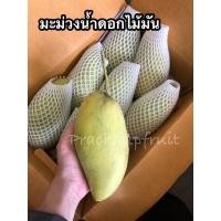 ราคา มะม่วงน้ำดอกไม้มัน 1 กิโลกรัม ผลดิบมันอมหวาน ผลสุกเนื้อเหลืองอร่อย (18951605412)