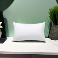 ราคา หมอนหนุน หมอนหนุนสูญญากาศ หมอนหนุนใยสังเคราะห์ (21278749198)