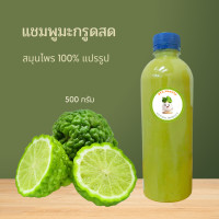 ราคา มะกรูดสดหมักผม 500 กรัม แชมพูมะกรูด ทำจากมะกรูดแท้100 ทำสดใหม่ทุกวัน Handmade Herb Kaffir lime Fresh Shampoo (21341850100)