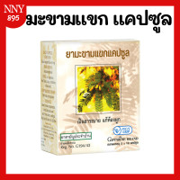 ราคา มะขามแขก แคปซูล มะขามแขกสกัดแคปซูล (21080993736)