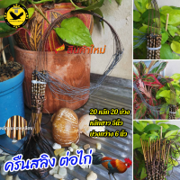 ราคา ใหม่ ครืนสลิงต่อไก่ 20หลัก บ่วงดักไก่ป่า ที่ดักไก่ป่า หลักยาว5นิ้ว บ่วงกว้าง6นิ้ว หลักชุบทองเหลือง สีน้ำตาล ผ่านเป็นติด พร้อมส่ง (21404316447)