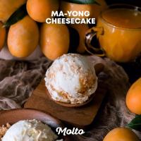 ราคา Ma Yong Cheesecake ไอศกรีม มะยงชิด ชีสเค้ก 1 ถ้วย 16 oz Molto Premium Gelato (12910723504)