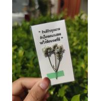 ราคา พร้อมส่ง การ์ดดอกไม้ การ์ดอวยพร ดอกไม้แห้ง การ์ดปัจฉิม ปัจฉิม ของขวัญปัจฉิม ของขวัญให้เพื่อน (17902775502)