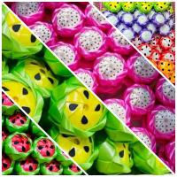 ราคา เหรียญโปรยทานผลไม้รวม แอปเปิ้ล แตงโม ส้ม มังคุด แก้วมังกร (17511321021)