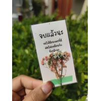 ราคา พร้อมส่ง การ์ดดอกไม้ การ์ดอวยพร ดอกไม้แห้ง การ์ดปัจฉิม ปัจฉิม ของขวัญปัจฉิม ของขวัญให้เพื่อน (17902775532)