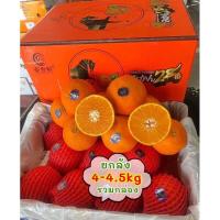 ราคา ส้มเอฮิเมะสายพันธุ์ญี่ปุ่น ยกลัง4 4 5kg Ehime Orange เนื้อเยลลี่น้ำเยอะ หวานฉ่ำทุกลูก (21404345232)