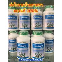 ราคา 1 อ้วยอันโอสถ เพชรสังฆาต 100 แคปซูล PET SUNG KART 100 CAPSULES FOR HEMORRHOID Cissus quadrangularis (21383315052)