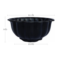 ราคา อ่างบัวจีบ กระถางชวนชม 20 นิ้ว (21394420577)