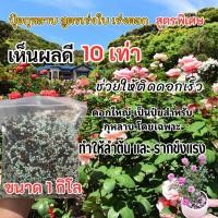 ราคา ปุ๋ยกุหลาบ สูตรพิเศษ สูตรเร่งใบ เร่งต้น เร่งยอด เป็นปุ๋ยผสมสำหรับต้นกุหลาบโดนเฉพาะ ขนาดบรรจุ 1 ก ก (21397118458)