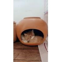 ราคา บ้านแอร์ดินเผา12นิ้ว บ้านแมวดินเผา ขนาดใหญ่ พร้อมที่ใส่น้ำหรือน้ำแข็งด้านบน (21416574689)