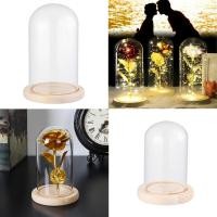 ราคา Terrariumโต๊ะTerrariumพืชขวดแจกันแก้วใส่ดอกไม้กล่องเก็บของฐานไม้ฝาครอบกันฝุ่นแก้วCloche (5000356701)