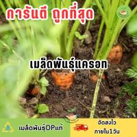 ราคา ถูกที่สุด เมล็ดพันธุ์แครอท บรรจุ 100 เมล็ด (21251806336)