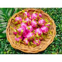 ราคา เหรียญโปรยทาน ตัวเปล่า10ชิ้น โปรยทานงานบวช โปรยทานสำเร็จรูป (19070816283)