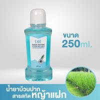 ราคา น้ำยาบ้วนปากหญ้าแฝก ดอยตุง DRI Yafek Doitung Refreshing Mouthwash I สูตรธรรมชาติ I ไม่แสบปาก I จัดการกลิ่นปาก (19467487014)