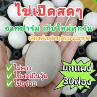 ราคา ไข่เป็ดอารมณ์ดี ไข่เป็ดสดๆจากฟาร์ม เก็บใหม่ทุกวัน 30ฟอง (21376259592)