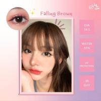 ราคา คอนแทคเลนส์ ขนาดมินิ Brown Falling Kitty Kawaii (17873711870)