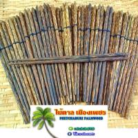 ราคา ตะเกียบไม้ตาล ตะเกียบก๋วยเตี๋ยว วัสดุทำจากไม้ตาล (10686424883)