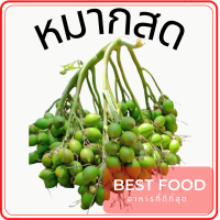 ราคา หมากสด ขายเป็นลูก ราคาถูก (16469026511)