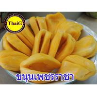 ราคา ต้นขนุนเพชรราชา ผลไม้มงคล ปลูกได้ทุกสภาพดิน จัดส่งพร้อมถุง 8 นิ้ว ลำต้นสูง 70 80ซม (21008644508)