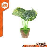 ราคา ต้นไม้เทียมกระถาง ต้นสาวน้อยปะแป้ง 20 ซม รุ่น DM022 EA (20692787124)