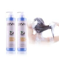 ราคา แชมพูสระผมDIVA สูตรเข้มข้นเหมาะกับผมเสียมากๆ (20872204433)