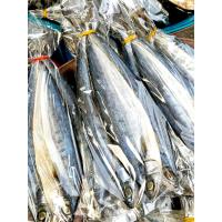 ราคา ปลาสีเสียด ปลาสีเสียดเค็ม ปลาทะเลตากแห้ง เนื้ออร่อย ไม่เค็มมาก (21415868414)