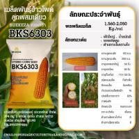 ราคา BKS6303 เมล็ดพันธุ์ข้าวโพดเลี้ยงสัตว์ลูกผสม BKS6303 (15754469711)