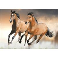 ราคา กระเบื้องผนังภาพชุด ALONZO HORSES 60X90 A 30X45CM 4 แผ่น ชุด (779246683)
