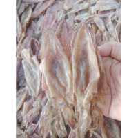 ราคา ปลาหมึกแกะตา 500g ปลาหมึกเจาะตา ไม่เค็ม จากปากน้ำปราณ ทำใหม่สดๆ จากทะเล (15985779747)