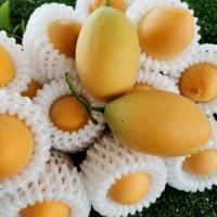 ราคา มะยงชิด มะปรางหวาน สวนนครนายก สวนแม่ค้าเอง เก็บสด ลูกใหญ่ (21392994684)