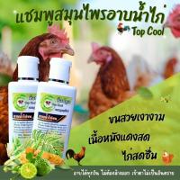 ราคา แชมพูสมุนไพรอาบน้ำไก่ชน (19584817710)