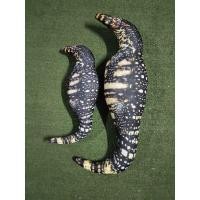 ราคา หมอนข้างยางพารา หมอนข้างอนิเมะ หมอนข้างตุ๊กตาปลาทูและตัวเงินตัวทองราคาโรงงาน หมอนข้างสุขภาพ (15824324653)