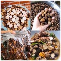 ราคา เห็ดเผาะ อ่อนๆๆจากภาคเหนือพร้อมส่งจ้า (7374056583)