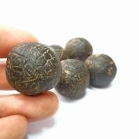 ราคา คตมะพร้าวสุดยอดของมงคลทนสิทธิ์ ป้องกันไสยศาสตร์ทุกชนิด (7184912183)