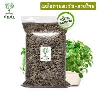 ราคา เมล็ดต้นอ่อน Organic100 เมล็ดพันธุ์ผัก เมล็ดสำหรับเพาะงอกพร้อมปลูก ต้นอ่อนทานตะวัน ต้นอ่อนผักบุ้ง โต้วเหมี่ยว ไควาเระ เมล็ดสดใหม่งอกไว (18097619553)