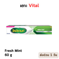 ราคา POLIDENT DENTURE ADHESIVE CREAM FRESH MINT 60G โพลิเดนท์ ครีมติดฟันปลอม สูตรเฟรช มิ้นท์ 60 กรัม P 793 (20976792468)
