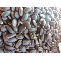 ราคา เม็ดเหรียงขลิบหัวเเล้ว รับประกันการงอก90 ราคาครึ่งกิโล (21398094004)