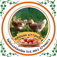 ราคา ไข่ไก่ออร์แกนิค เลี้ยงอาหารอินทรีย์ไม่ใช้สารเคมีหรือฮอร์โมนใดๆไม่มีสารพิษตกค้างดีต่อสุขภาพเก็บสดทุกวัน ไข่ออร์แกนิคแท้100 บรรจุแพ๊ค 10 ฟอง รบกวนสั่งออเดอร์ไม่เกิน 2 แพ็คนะคะ (20909704588)