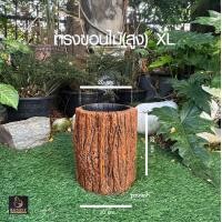 ราคา กระถางลายเปลือกไม้ SIZE XL ปูนปั้น จัดสวน ประดับสวน แต่งสวน กระถางใส่ต้นไม้ Bunny Brown (21389089916)