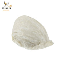 ราคา รังนกซูจั่น รังนกแท้ 100 รังนกแห้ง รังนกคัดสะอาด รังนกดิบ รังนกพร้อมปรุง บรรจุ 6 กรัม (19047941688)