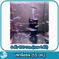 ราคา ปั้มลมสำหรับคนเลี้ยงปลา เพิ่มความสวยงามให้ตู้ปลา (21386827807)