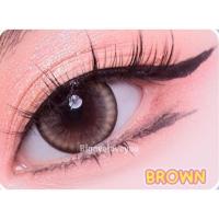 ราคา คอนแทคเลนส์ Pure Alice Brown Gray Shinee ขนาดบิ๊กอาย (20585279552)