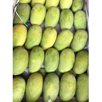 ราคา มะม่วงอกร่องโบราณจากดำเนินแท้ๆเบอร์เล็ก พี่ของมะม่วงอกร่องกระเทย แต่ไม่ใช่กระเทย 1 กก (18633363858)